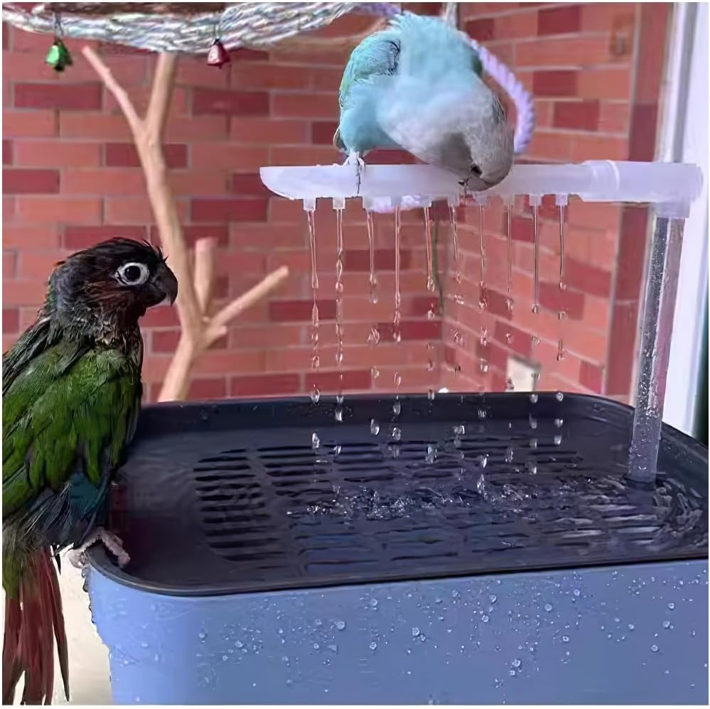 Bird Bath Box With image number 1