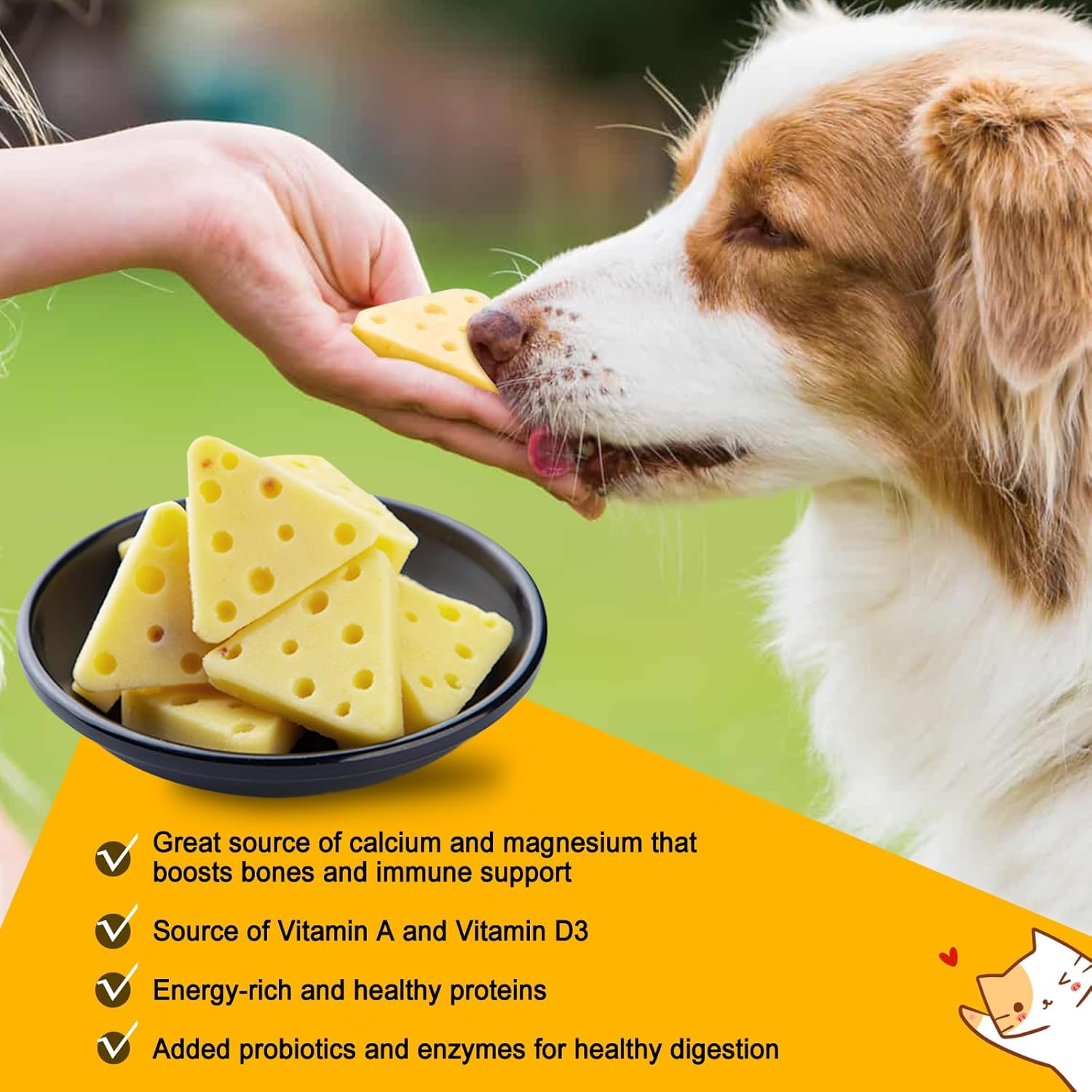 Gmstahlei Dog Cheese Treats with Probiotics - Bite Size - Human Grade Pet Treats - Healthy Treats - Boosts Immunity and Improves Coat - Non Freeze Dried Cheese and Individual Packaging - 4.2 Oz / 120G