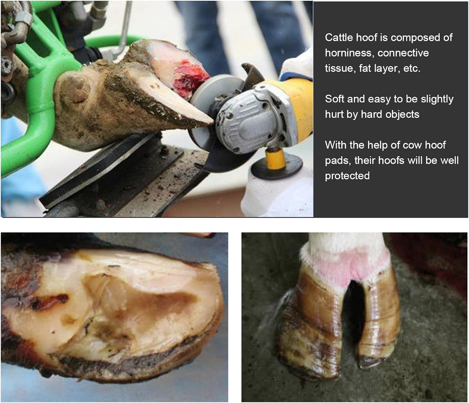 Soft Rubber Wearproof Cow Hoof Triming Pads for Cattle, Hoof Cushion for Pasture, 2Pcs image number 6