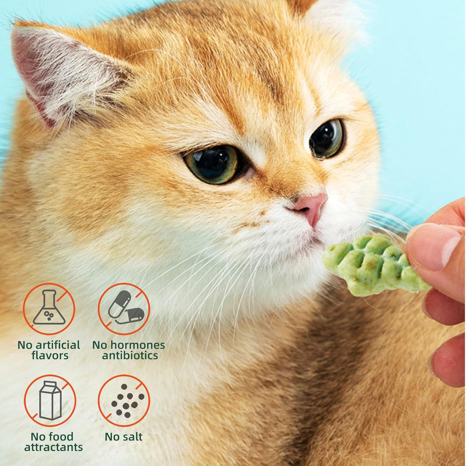 Cat Hairball Treats, Kitty Teeth Cleaning Catnip for Indoor, 16 Oz, Fish Shape Cat Nip Dry Food, Healthy Chicken and Salmon Flavor Grass Biscuits image number 2
