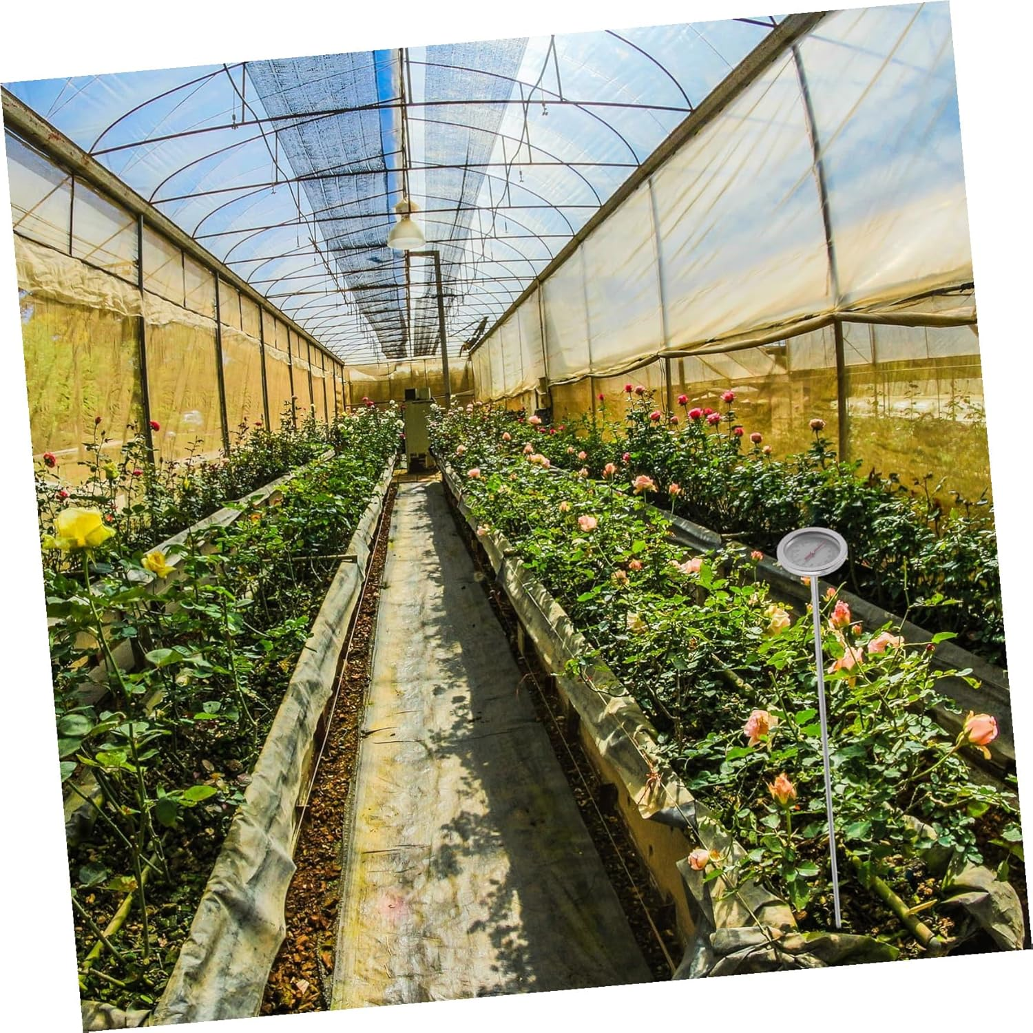 VICASKY Precise Stainless Steel Soil Thermometer Gardening Tool with Probe for Accurate Compost and Soil Temperature Measurement