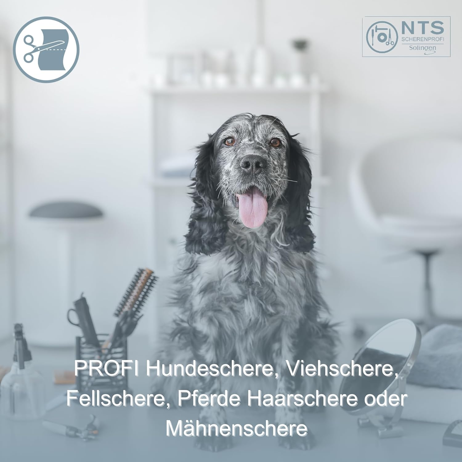 Nts-Solingen Premium Dog Scissors Livestock Shears Fur Scissors Mane Scissors 6.0 Inches to 9.0 Inches Rustproof 15-23 Cm Made in Solingen Germany (6.0 Inches = Approx. 15.3 Cm) image number 4