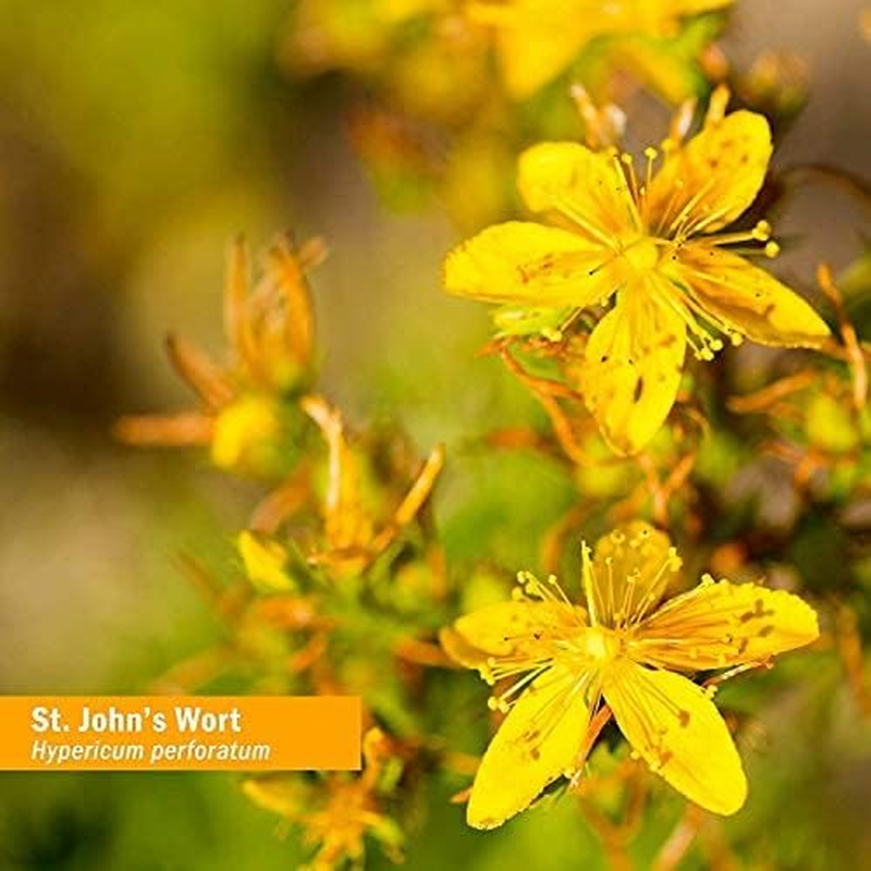 Herb Pharm St. John'S Wort Topical Oil - 4 Ounce image number 6