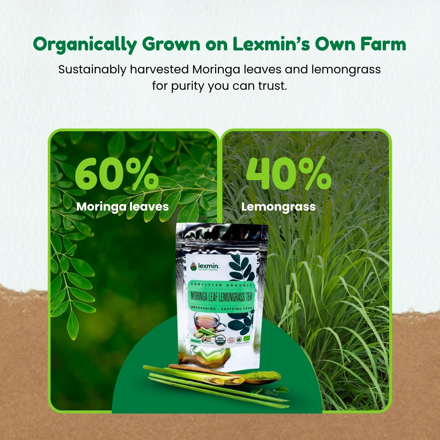 Moringa Leaf Lemongrass Tea, Herbal Infusion with Natural Antioxidants and Essential Nutrients, Plant-Based, Caffeine-Free, Vegan-Friendly, 30 Herbal Tea Bags image number 5