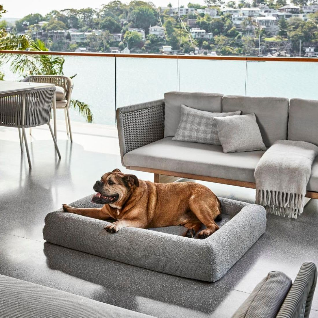 Dazy Dog Orthopedic Dog Bed - Water Resistant & Washable Pet Bed for Small, Medium, and Large Dogs - Memory Foam Calming Dog Bed with Rest for Arthritis Pain Relief - (Small, Boucle Pebble Grey)