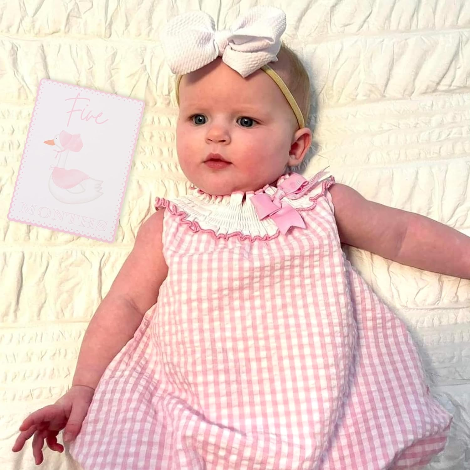 WAUAO Gingham Milestone Monthly Cards - My First Milestone Cards, Baby Shower Photo Props,Baby Milestone Monthly Memories,Boys/Girls Photo Props (Pink) - Pink image number 3