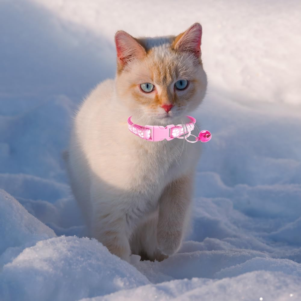 Cat Collar with Bell, Breakaway Grid Collar with Plastic Buckle, Light Adjustable, Nylon, Kitty Collars image number 3