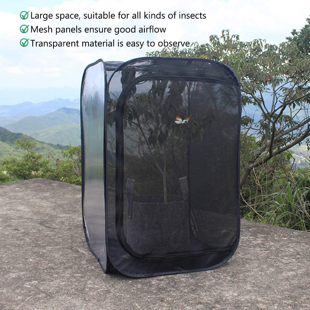 Insect Mesh Cage, Strong Visibility Durable Ventilated Insect Cage Foldable Reusable Smooth Zipper Large Space for Families for School Laboratory for Students image number 2