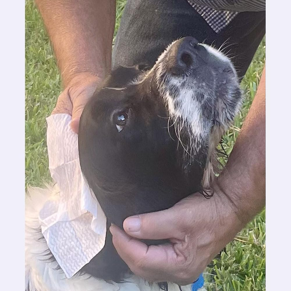 Insect Repellent,Towellette Wipes DEET Free 20% Picaridin (10 Pack) Tell Your Bye Bye Skeeter Story image number 3