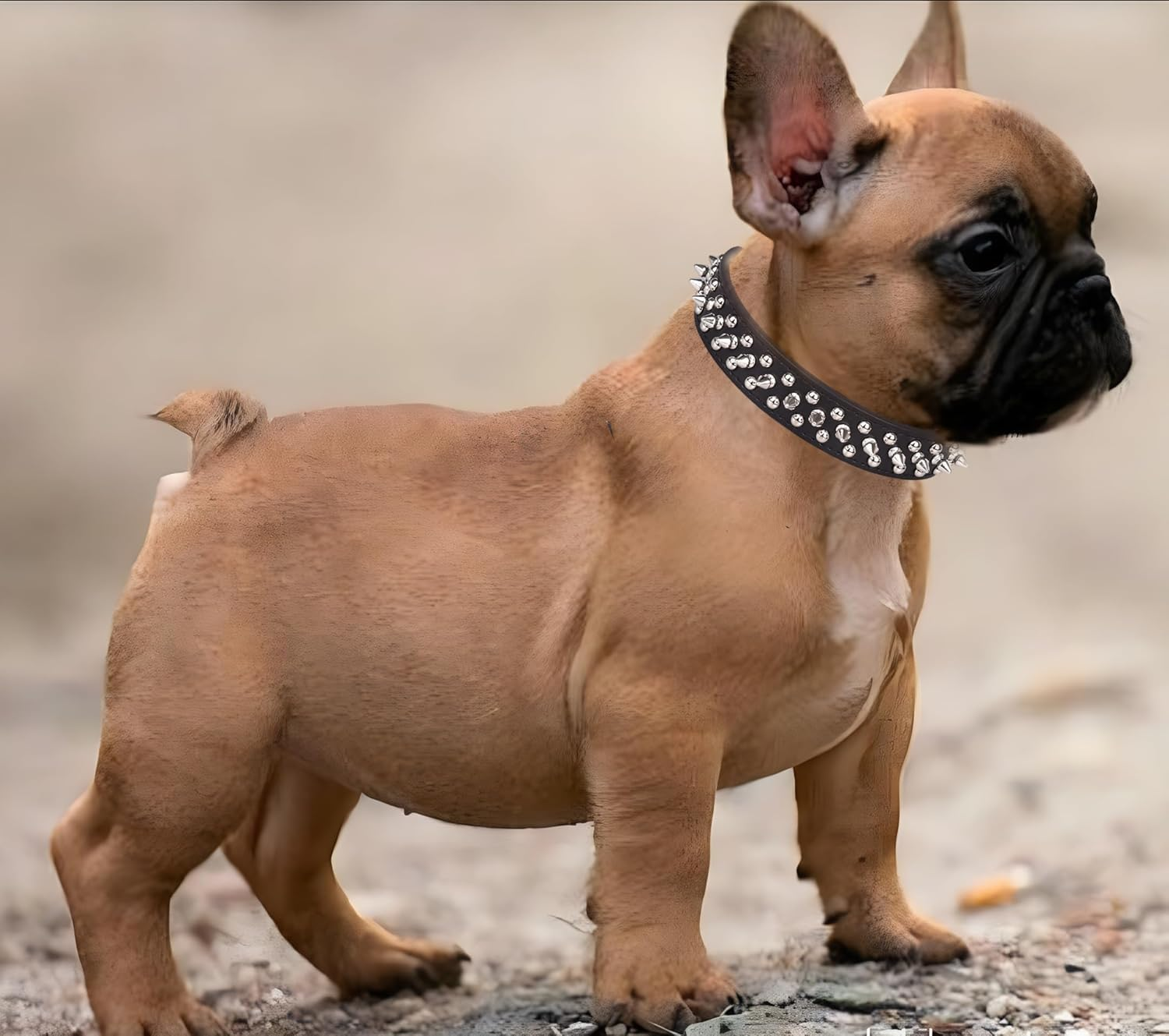 Serijoars Spiked Dog Collar Soft Pu Leather Mushrooms Rivet Spike Studded Dog Collar Adjustable Puppy Collars (M, Hot Pink)