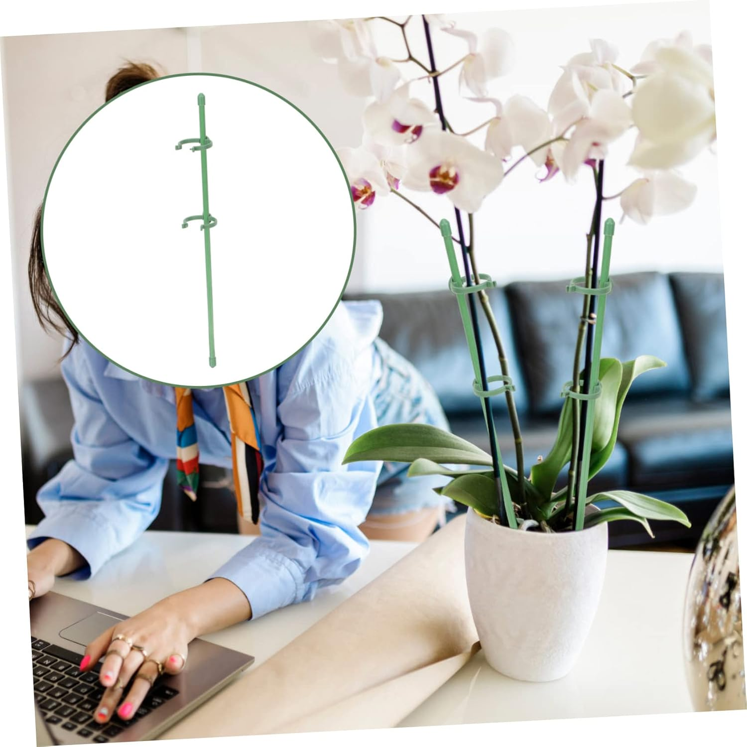 Toddmomy 10Pcs Orchid Support Sticks Plant Training Stakes for Climbing Adjustable Buckle Garden Flower Support Stakes Fiberglass Plastic