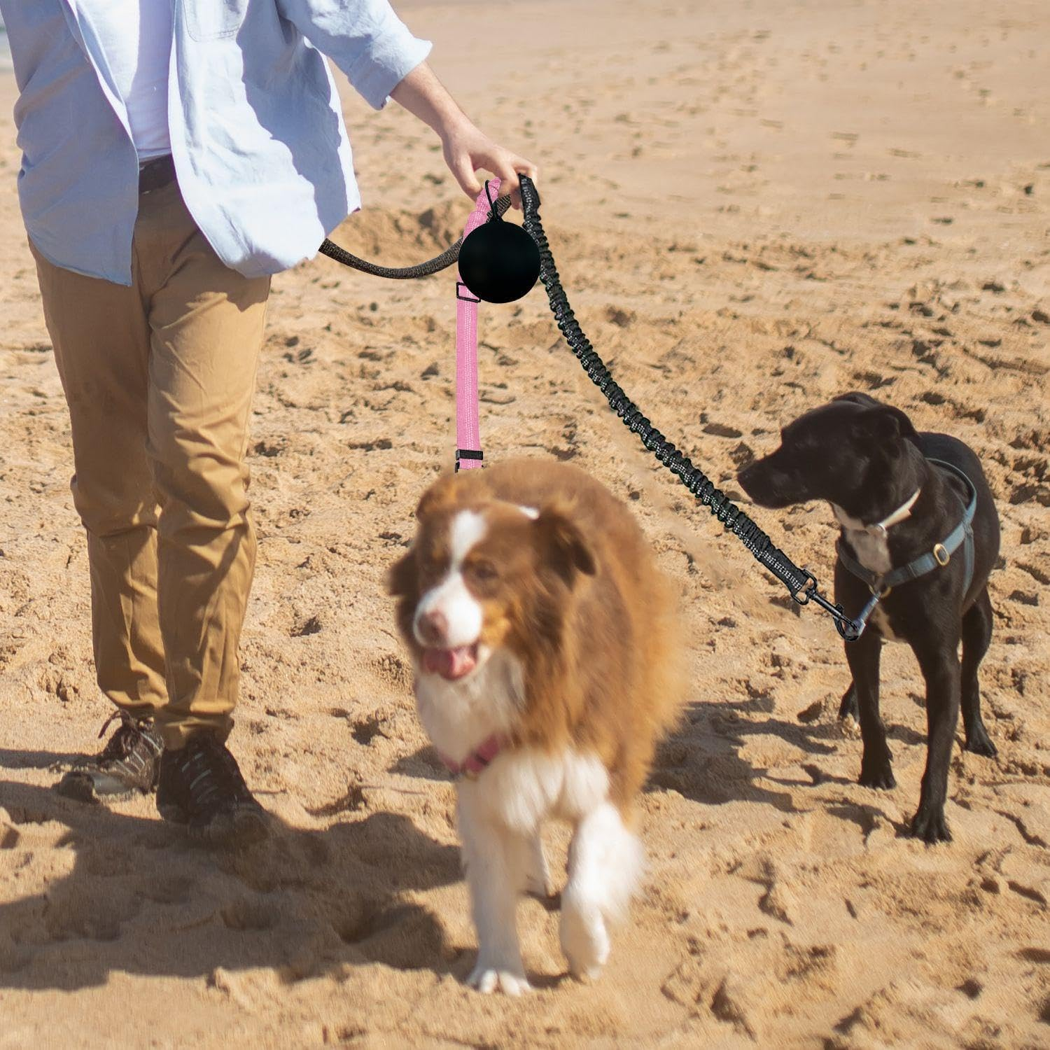 JDNFKG 2 X Double-Headed Dog Dogs and 1 Piece Snack Bag, Outdoor Pet, Adjustable Lead, Training Lead.