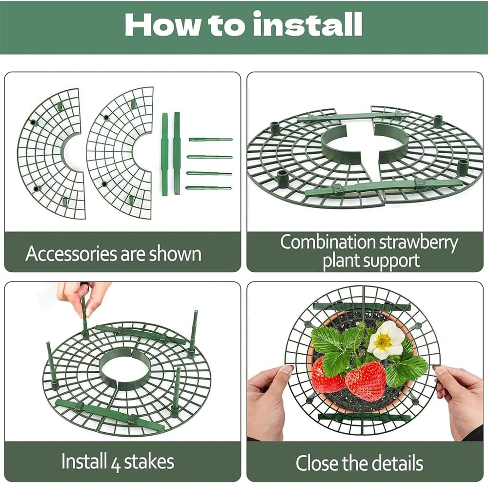 4 Sets Strawberry Plant Support with Mesh Plant Cover,Strawberry Growing Racks Sets with Iron Plant Nails and Storage Bag Planting Stand for Garden Vegetables image number 6