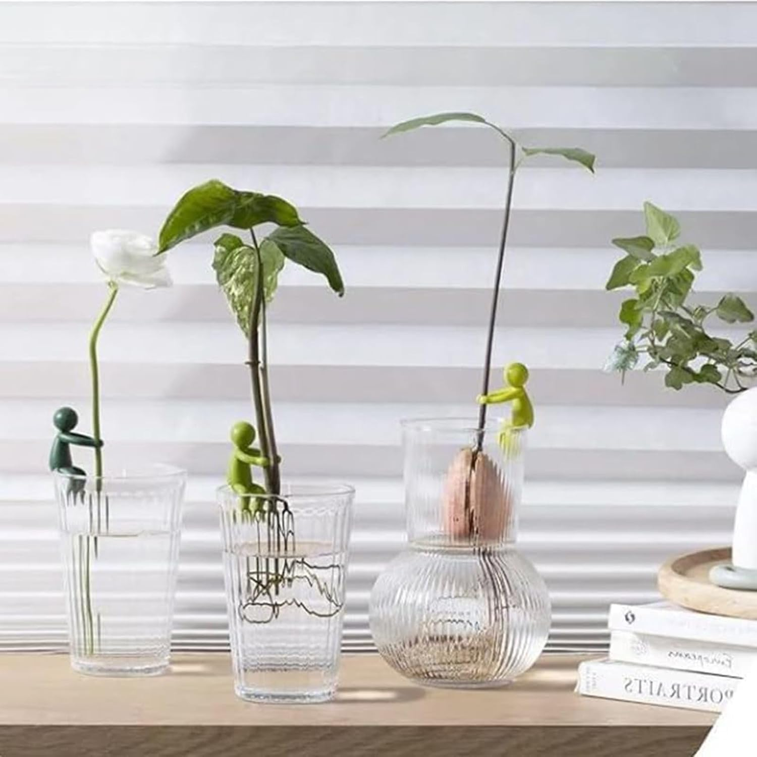 YUANXINGLU 3PCS Plant Propagation Buddy, Support for Sprouts, Stems, Shoots, and Cuttings, Cute Supports for Propagation Station or Indoor Garden image number 2