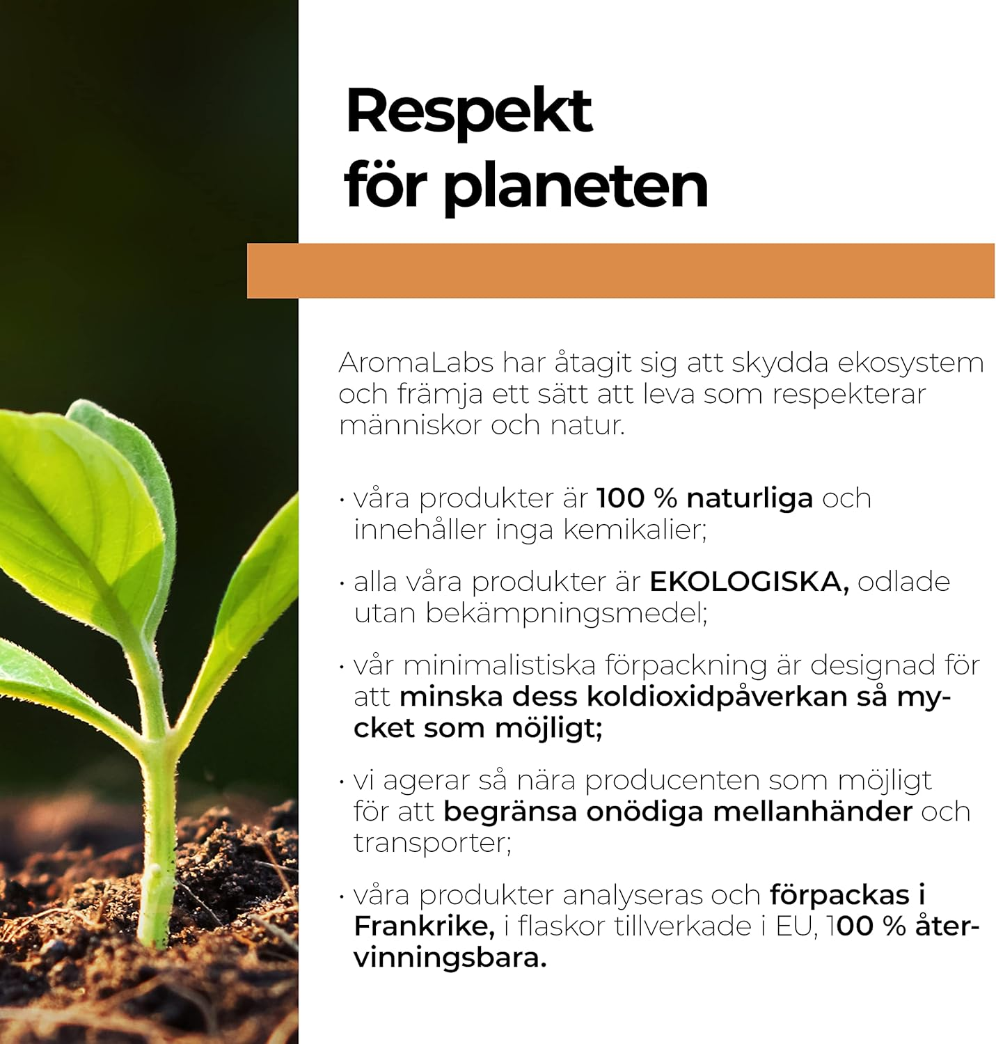 100% Organic Carrot Infused Oil - 250Ml - Pure, Natural, from Organic Farming - Aroma Labs image number 4