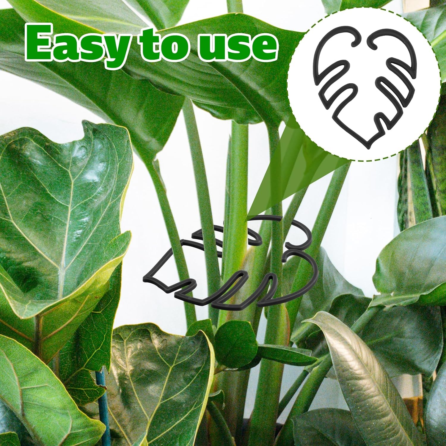 6Pcs Plant Stem Supports, Reusable Monstera Plant Stakes Sturdy Leaf Buddy Support Green Plants Propagation Holder Climbing Houseplant Trellis for Indoor Plants Healthy Growth Rack (Black) image number 1