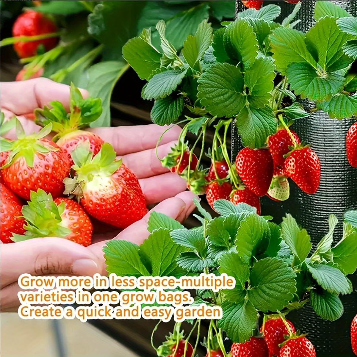 Upside down Strawberries Grow Bags,10 Pack Garden Hanging Strawberry Grow Bag, Hanging Strawberry Planter with Planting Pockets, Hanging Planter for Strawberries,Tomatoes, Chili, Herbs, Vegetables image number 3