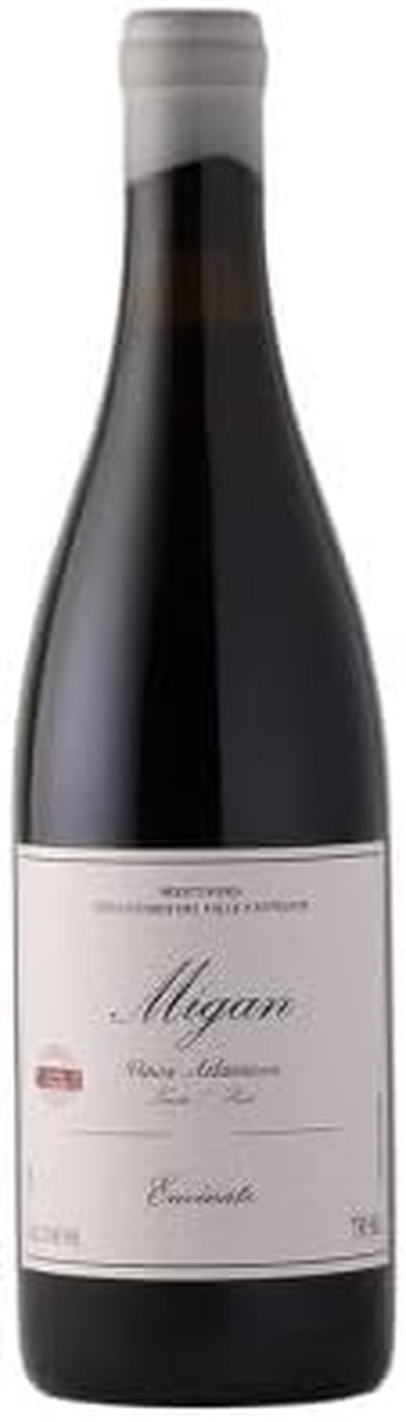 Envinate - Migan Tinto Listan Negro - 2021