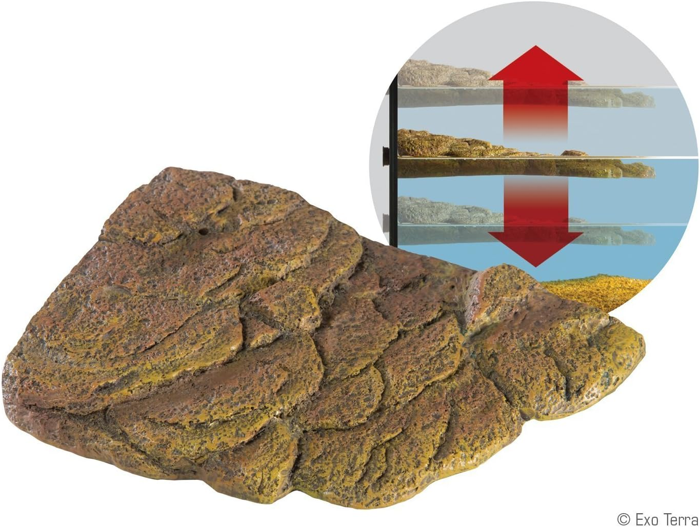 Exo Terra Turtle Bank - Small - M (Pack Of 1) image number 6