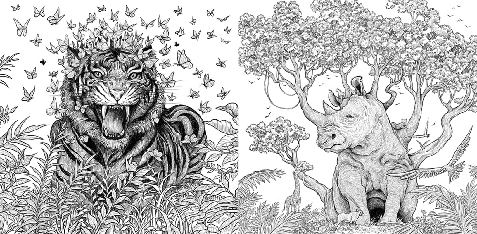 Fragile World: Colour Nature'S Wonders: Volume 2 image number 3