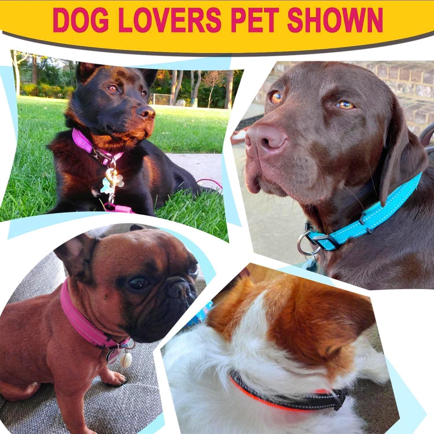 Dog Collar, Reflective Adjustable Basic Dog Collar with Soft Neoprene Padding, Durable Nylon Pet Collars for Puppy Medium Dogs image number 6