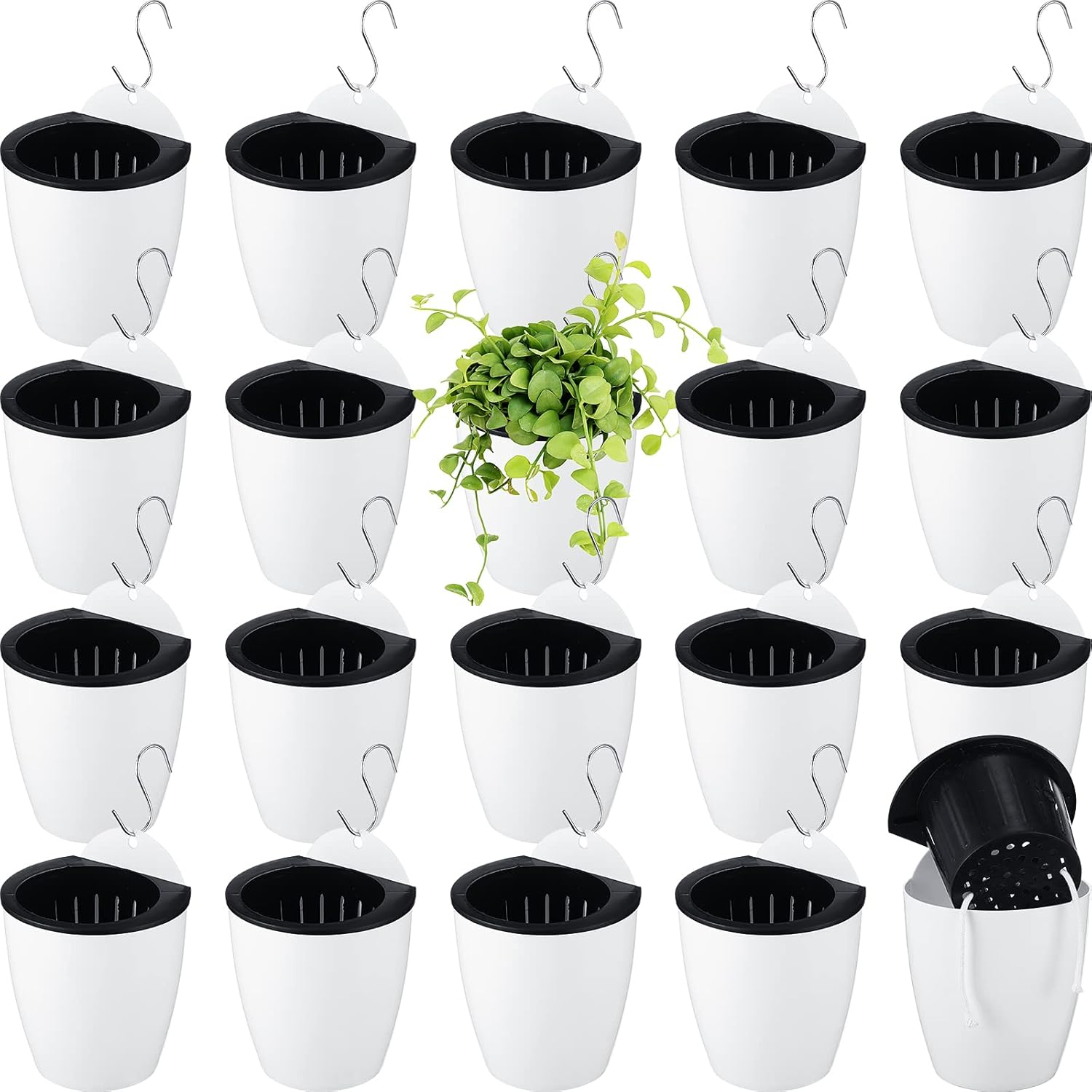 Yungyan 20 Sets 5" Self Watering Hanging Planter White Lazy Flower Pots Plastic Wall Planters Propagation Window Wall Mount Planter with Hooks and Absorbent Cotton Ropes for Indoor Succulent Plants image number 1