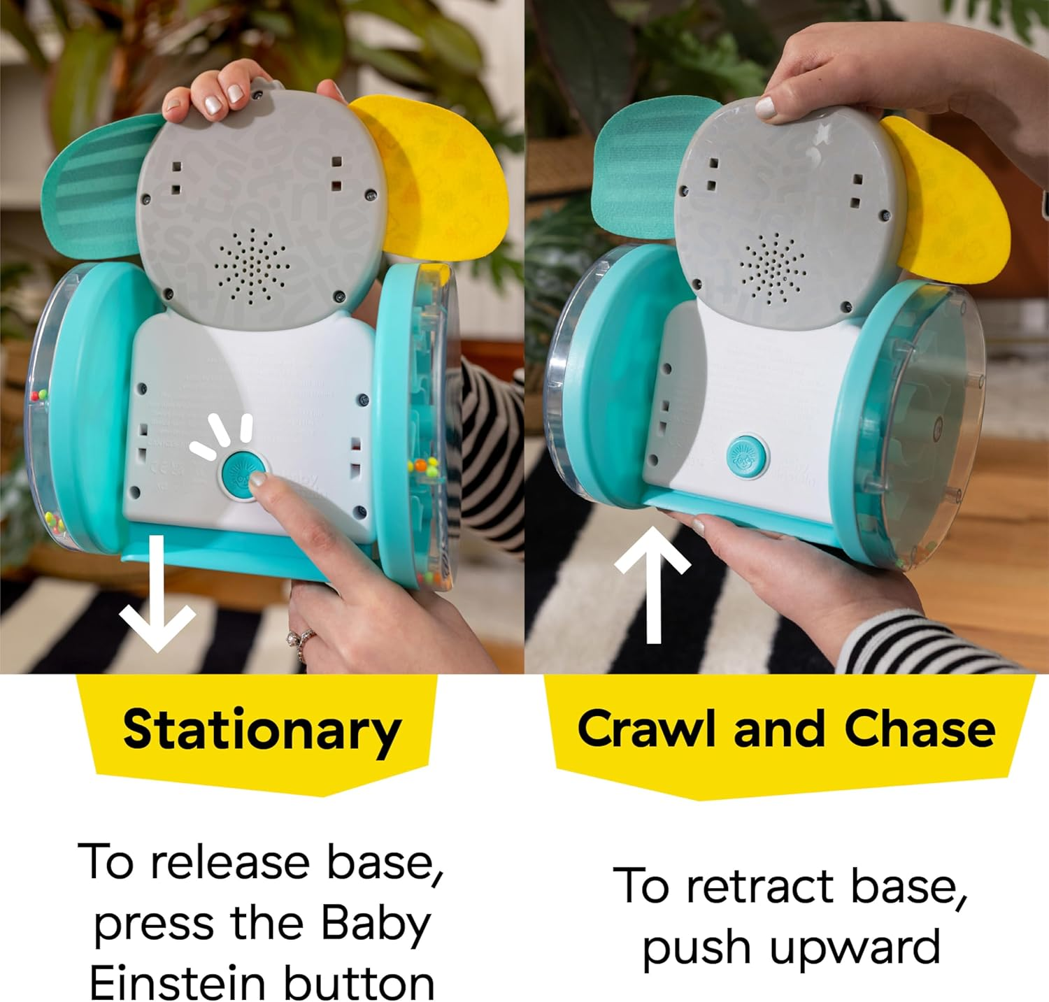 Baby Einstein Chase & Tap Earl Crawling Baby Toy, with Mirror and Music, Ages 6 Months and Up image number 2