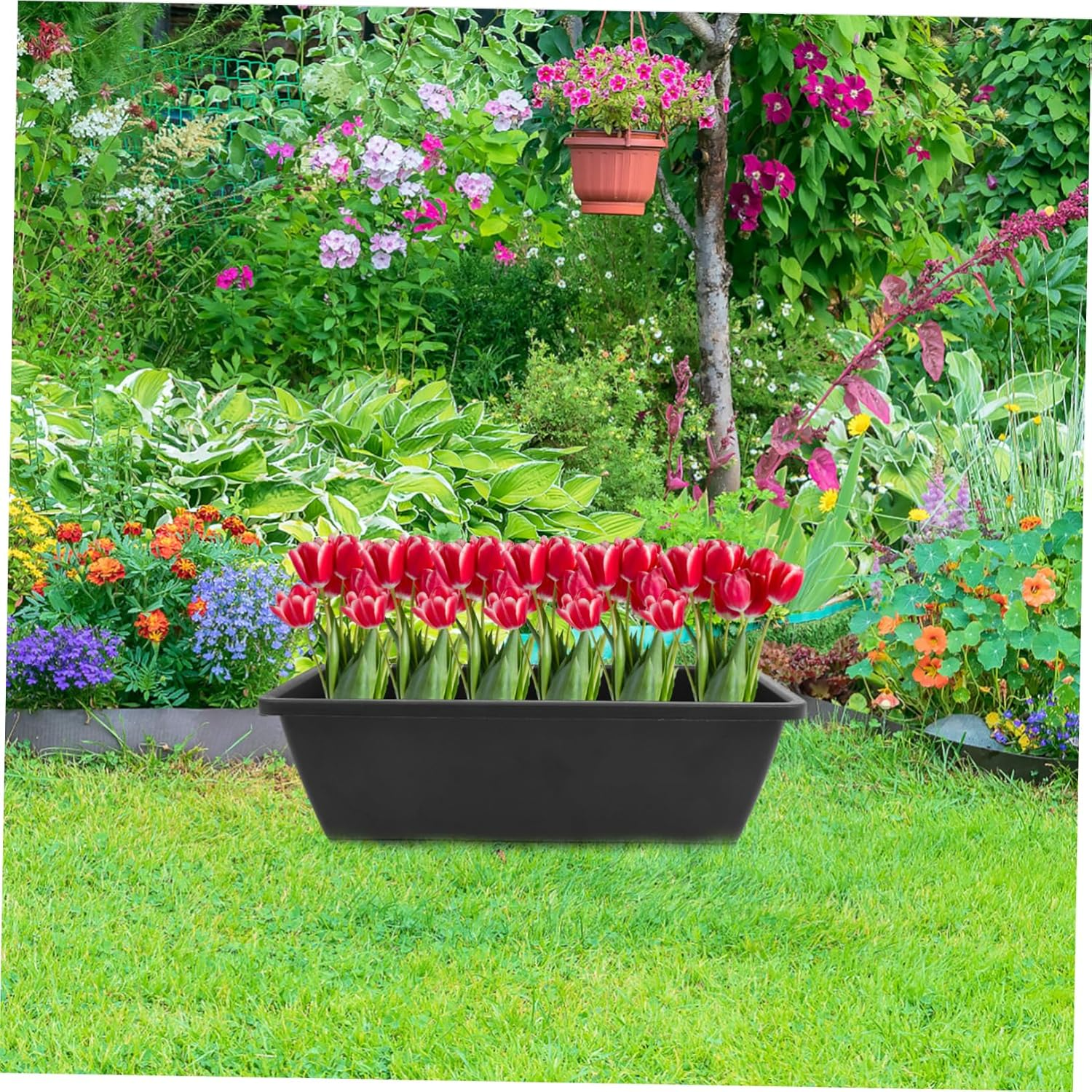 MERRYHAPY 6Pcs Rectangular Plastic Planters Drainage Trays Medium Balcony Flower Pots Outdoor Vegetable Growing Containers Gardening Supplies image number 2