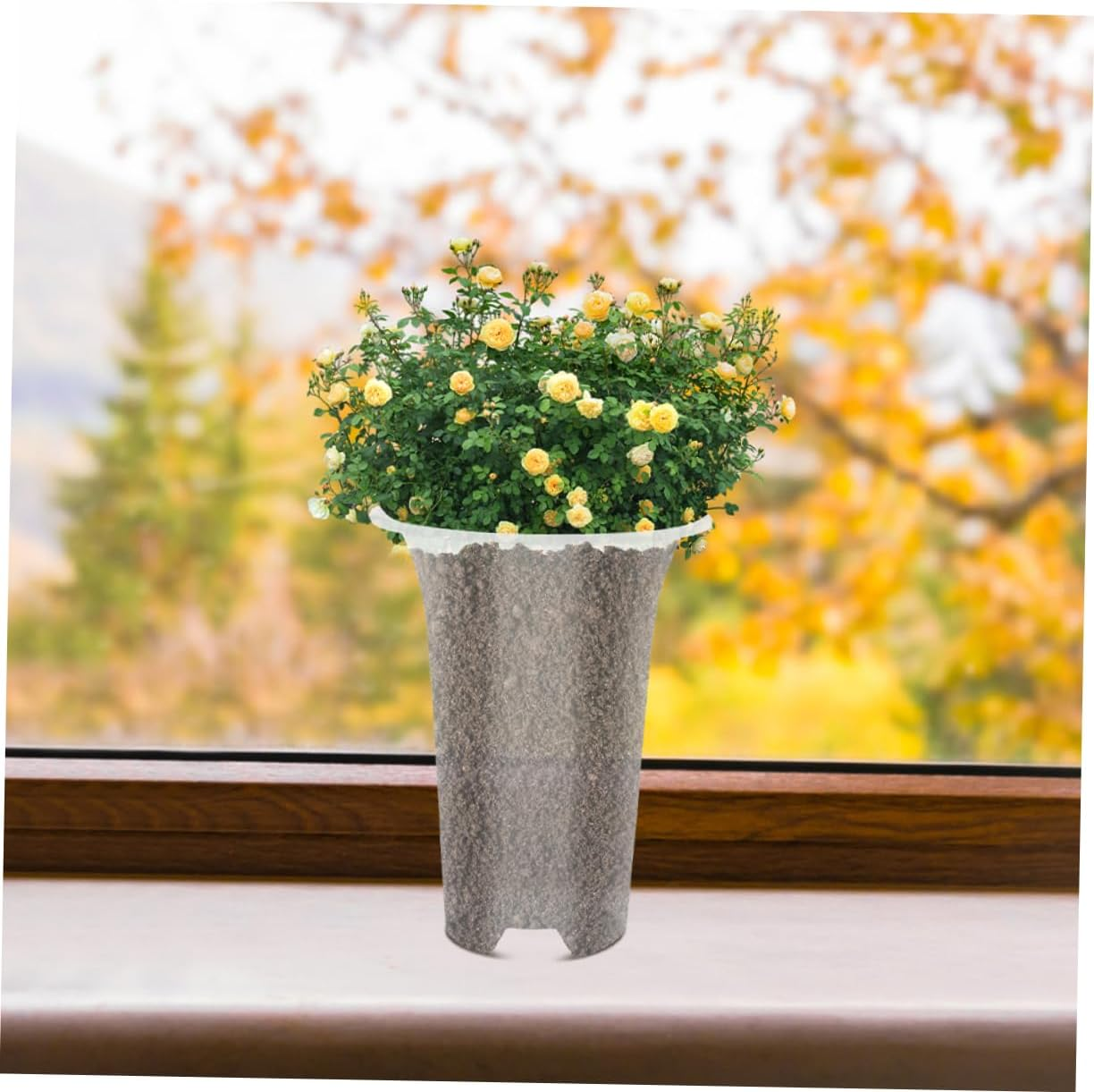 8Pcs Pp Material Orchid Pot Planters Flower Pots Side for Succulent Planting Decor image number 3