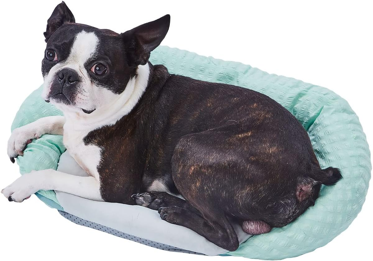 Petio Dog Bed, Porta Cooling Square Bed with Fluffy Edges, Sea Blue, M