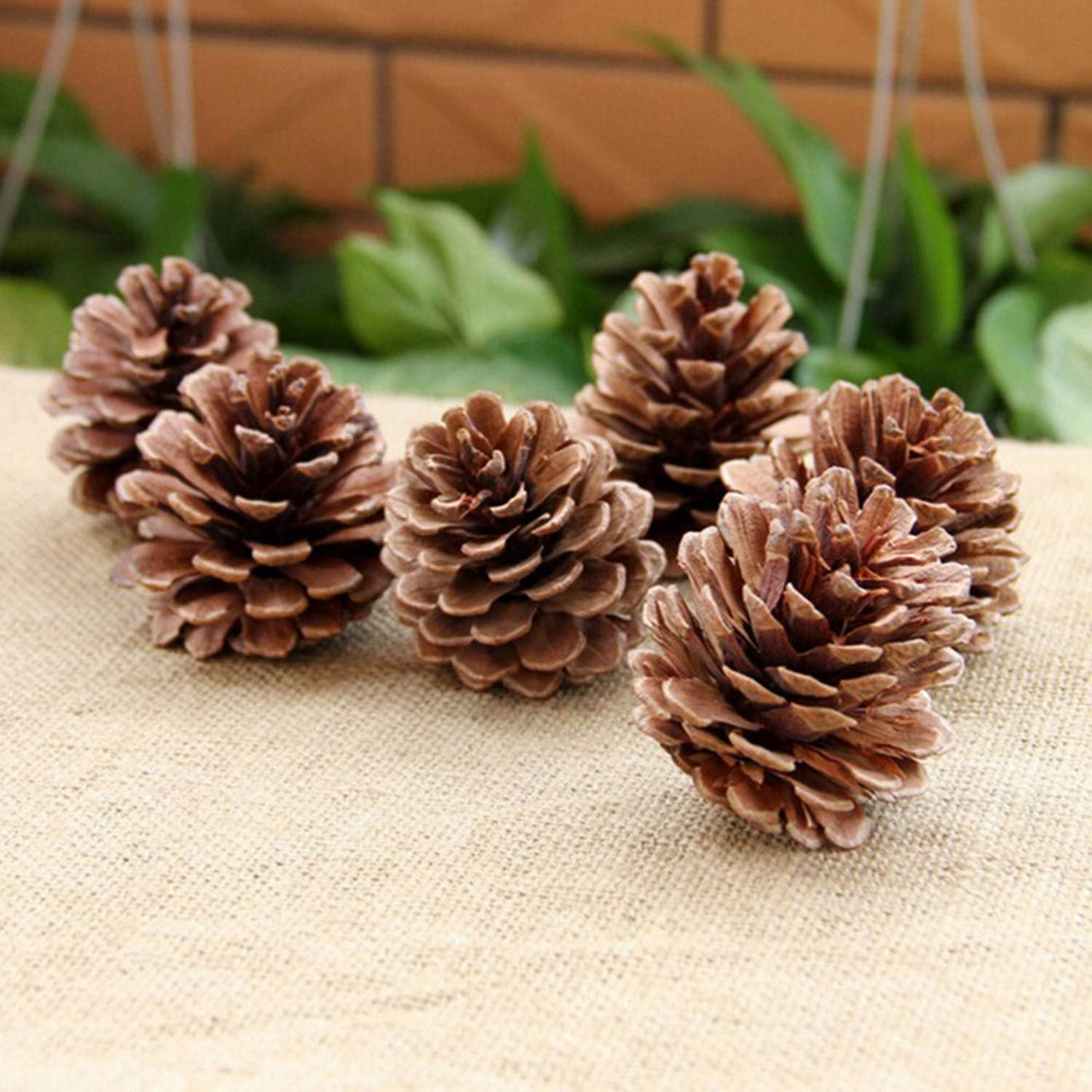 Christmas Bulk Package of Natural Pinecones for Home Party Decorations-25 Pack (1) - 18Pcs image number 7