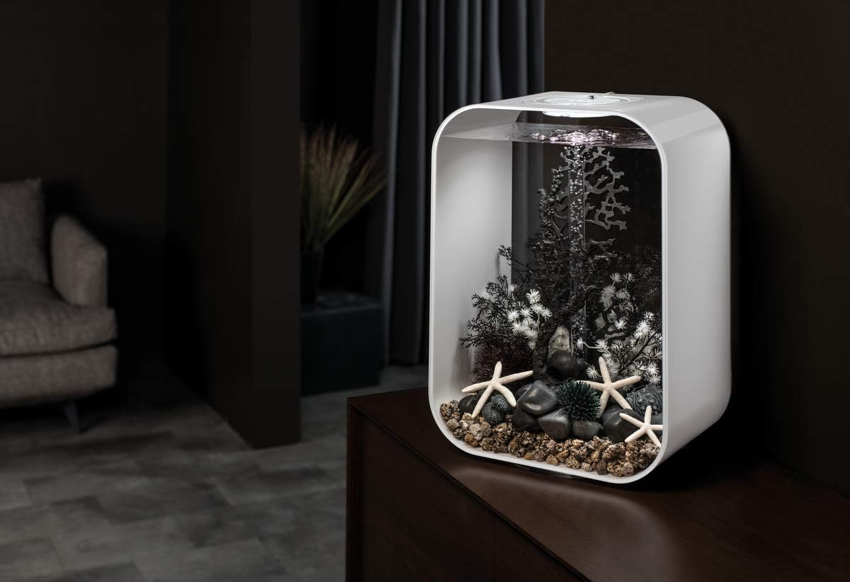 Biorb 46097.0 Sea Fan Medium Black Aquariums 3 X 3 X 14.2 Inches