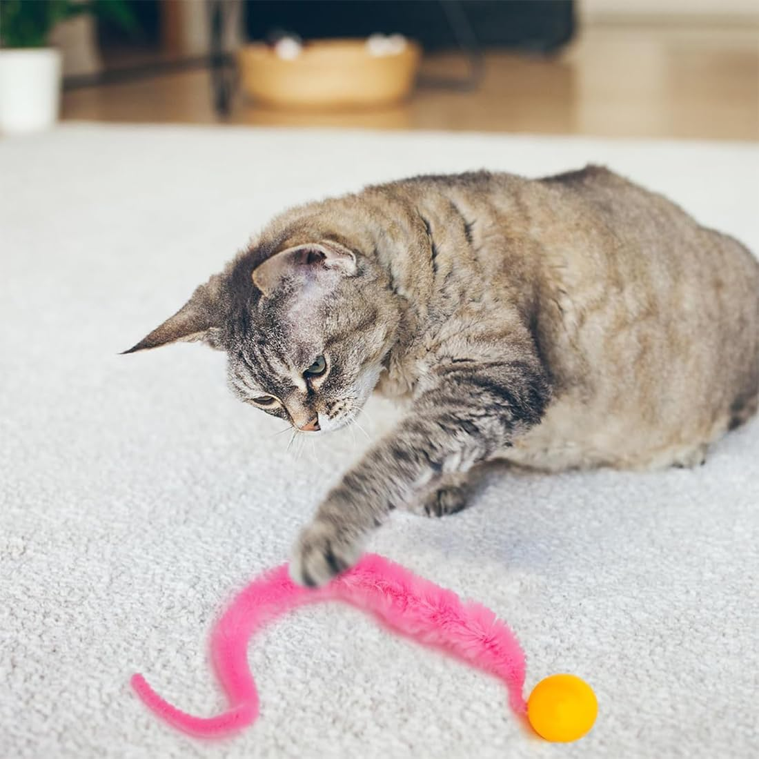 Pack of 5 Wobble Balls for Cats, Interactive Toy for Cats, Wiggly Ball, Funny Cat Toy, Cat Ball, Wiggly Balls, Cat Balls, Bouncy Balls, Cat Ball, Kitten Toy for Cats Everyone image number 3