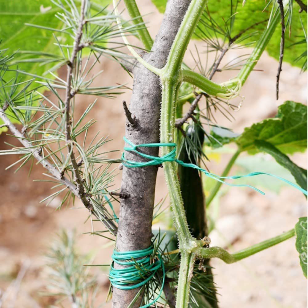 328Feet Twist Tie Sturdy Plastic Green Garden Plant Twist Tie Multi-Use for Secure Vines/Plants image number 3