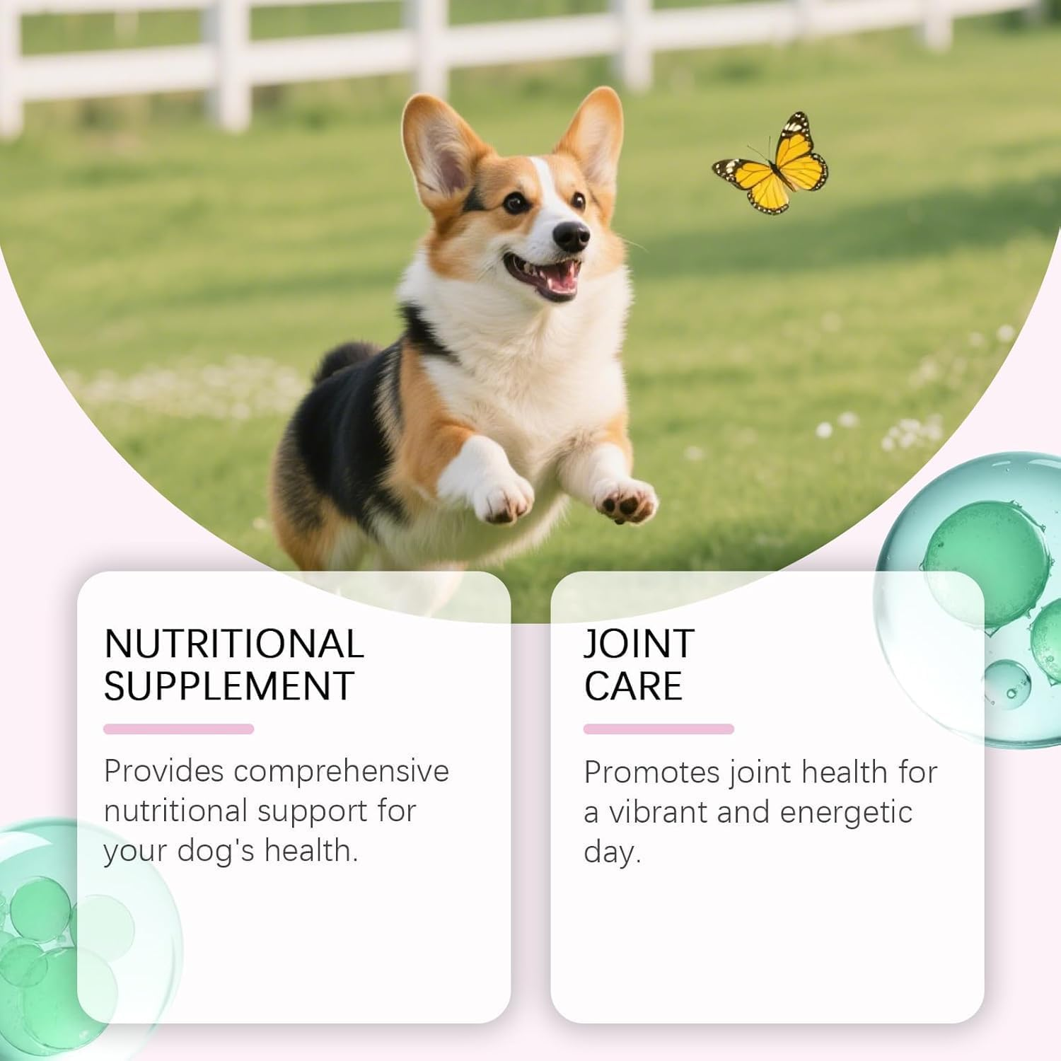 Healthy Collagen for Dogs,[New]Support for Skin & Joints & Gut & Overall,1Pcs image number 3