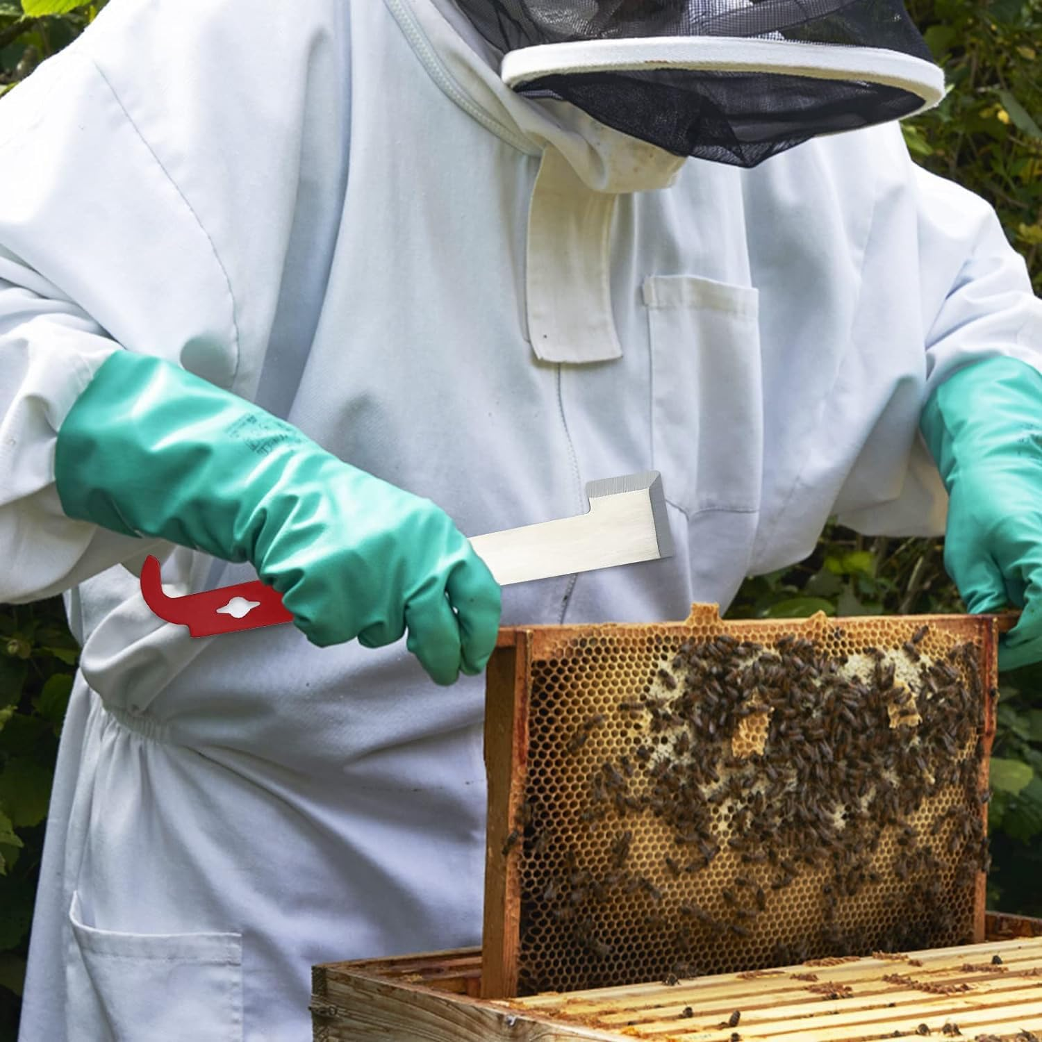 2 Pack Stainless Steel Beehive Scraper Beekeeping Tool, Hive Tool J-Hook Bee Hive Tool,Stainless Steel Bee Hive Scraper,Cleaning Beekeeping Supplies and Bee Hive image number 5