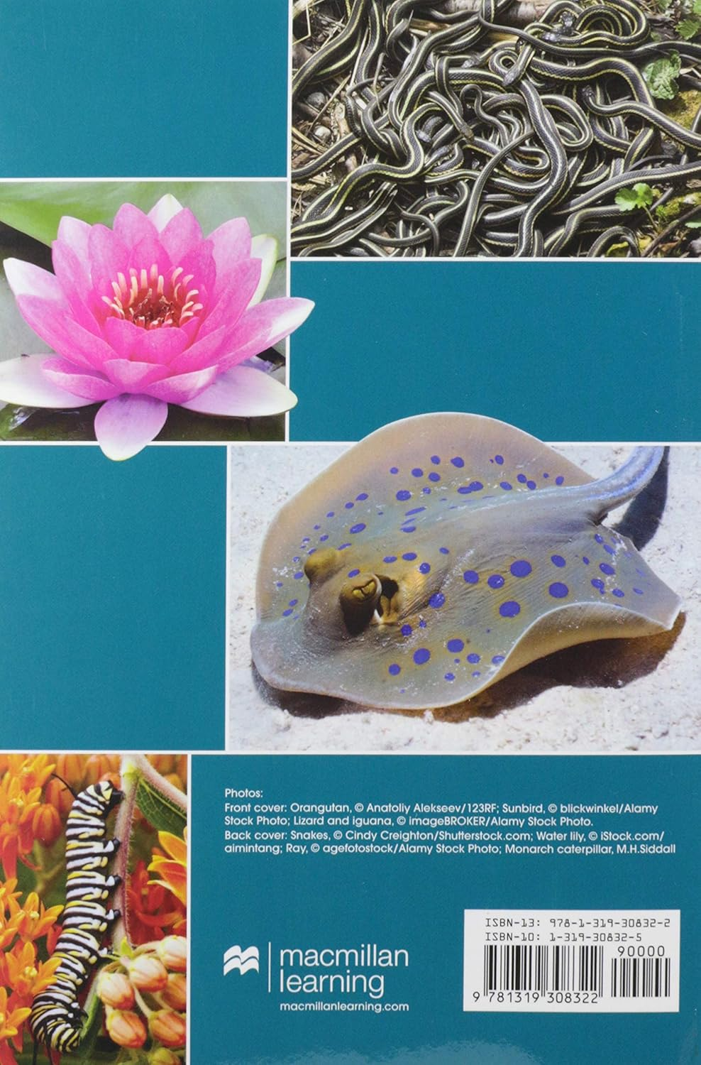 Student Handbook Writing in Biology 6E (No IE)