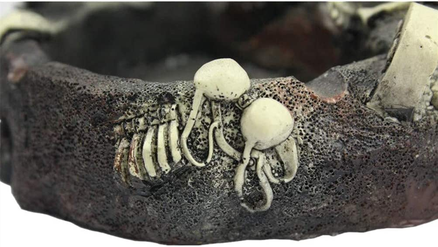 Creative Skull Ashtray & Love Never Dies Skull Ashtray Fun Taste the Living Room Decoration for Smoking Room Decor Gifts for Smokers image number 4