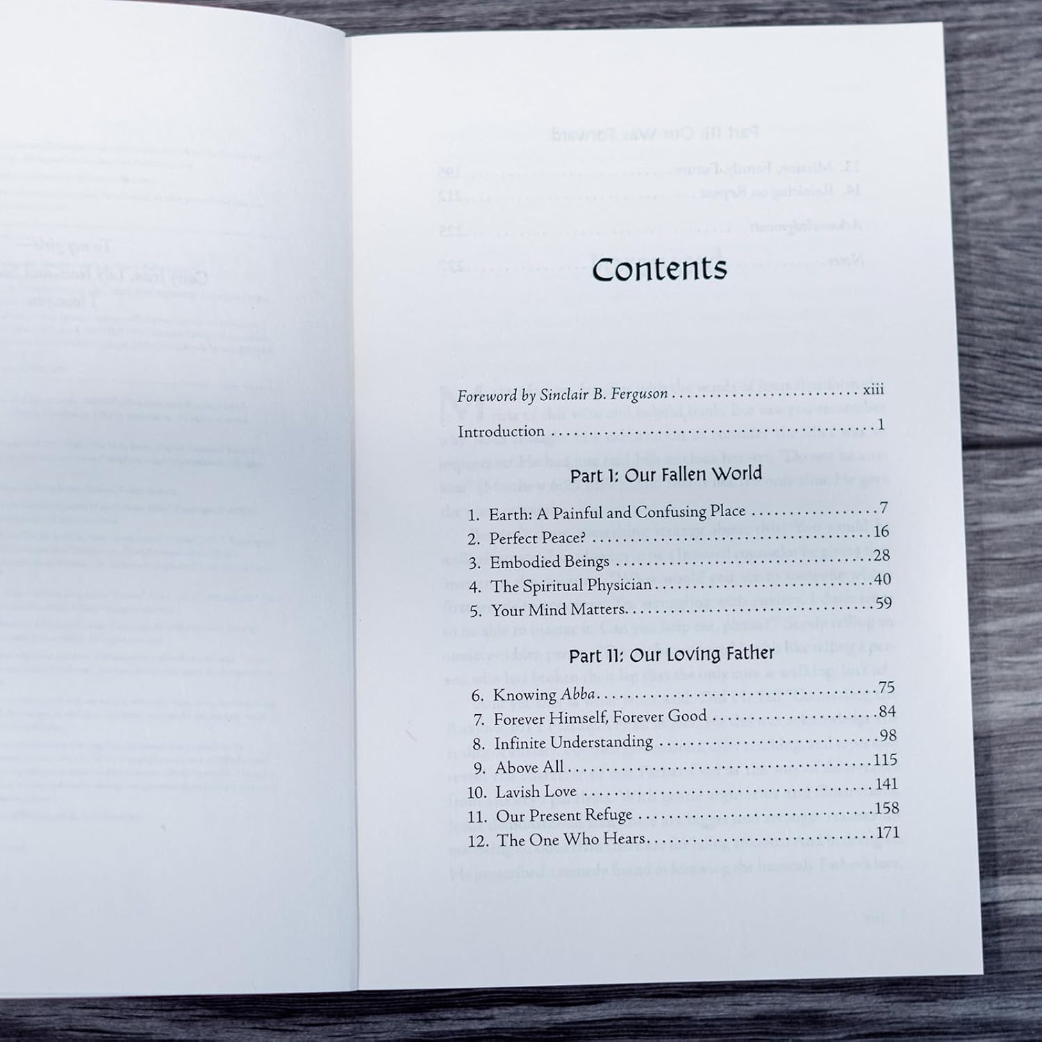 Consider the Lilies: Finding Perfect Peace in the Character of God image number 3