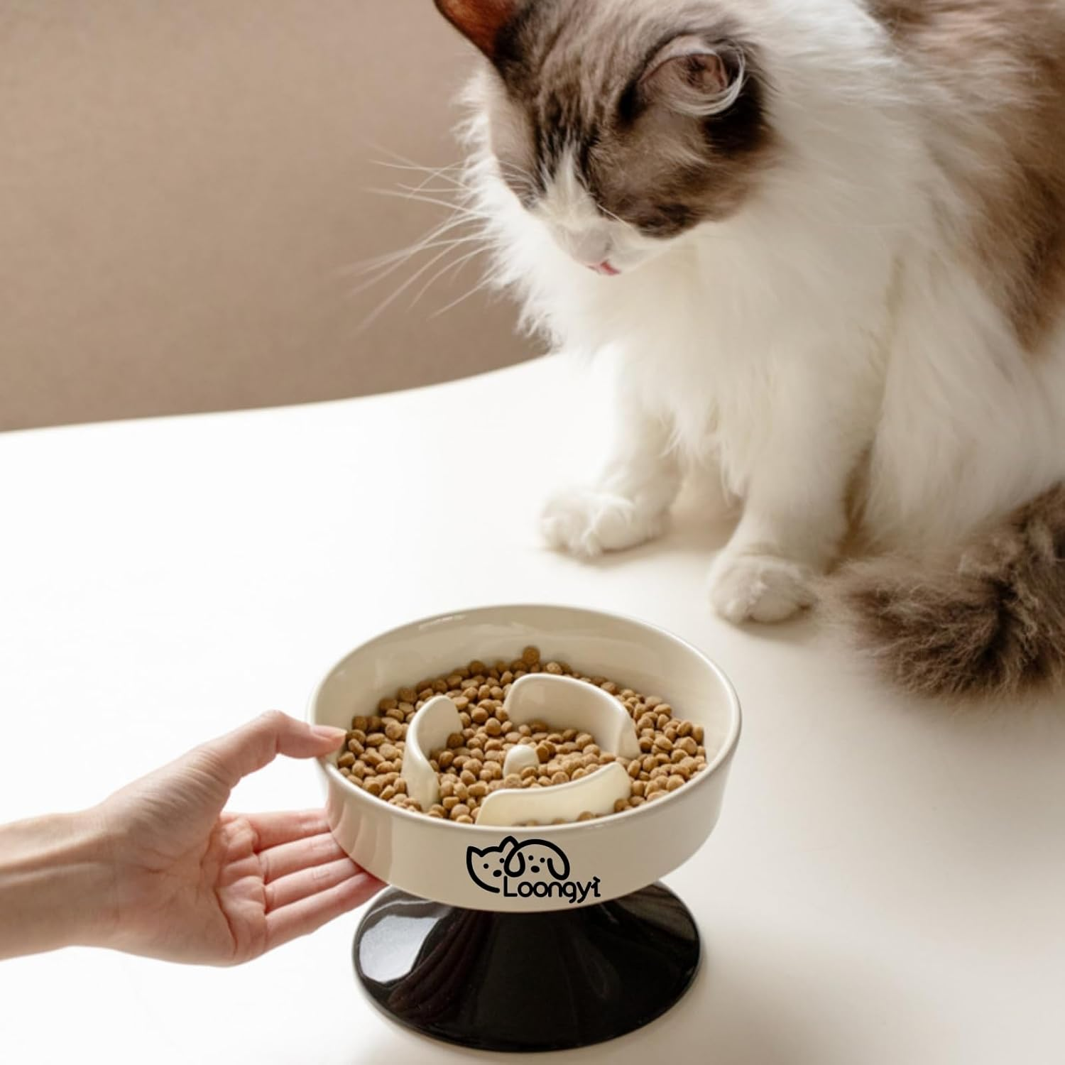 Ceramic Elevated Pet Slow Feeder Bowl - 400G Capacity Anti-Choke Cat & Dog Food Dish - Neck Protection Cat Dog Meal Plate image number 5