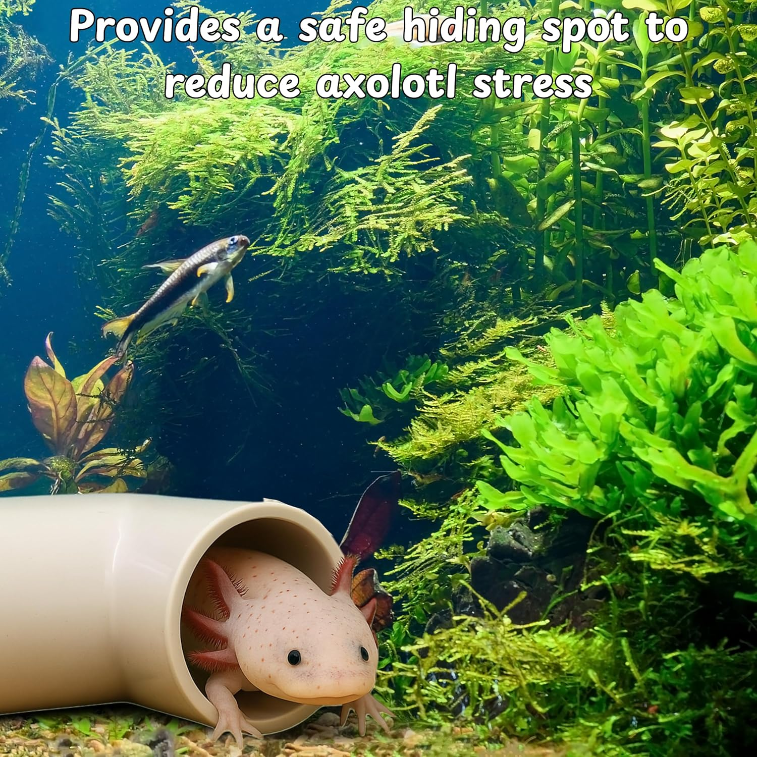 Axolotl Hide Tube and Silk Plants for Aquarium, Axolotl Cave and Aquatic Plant Set, Axolotls Hides and Green Plants, Aquarium Decor, Fish Tank Decorations, Turtle Tank Accessories (White, 11 * 3.5In)