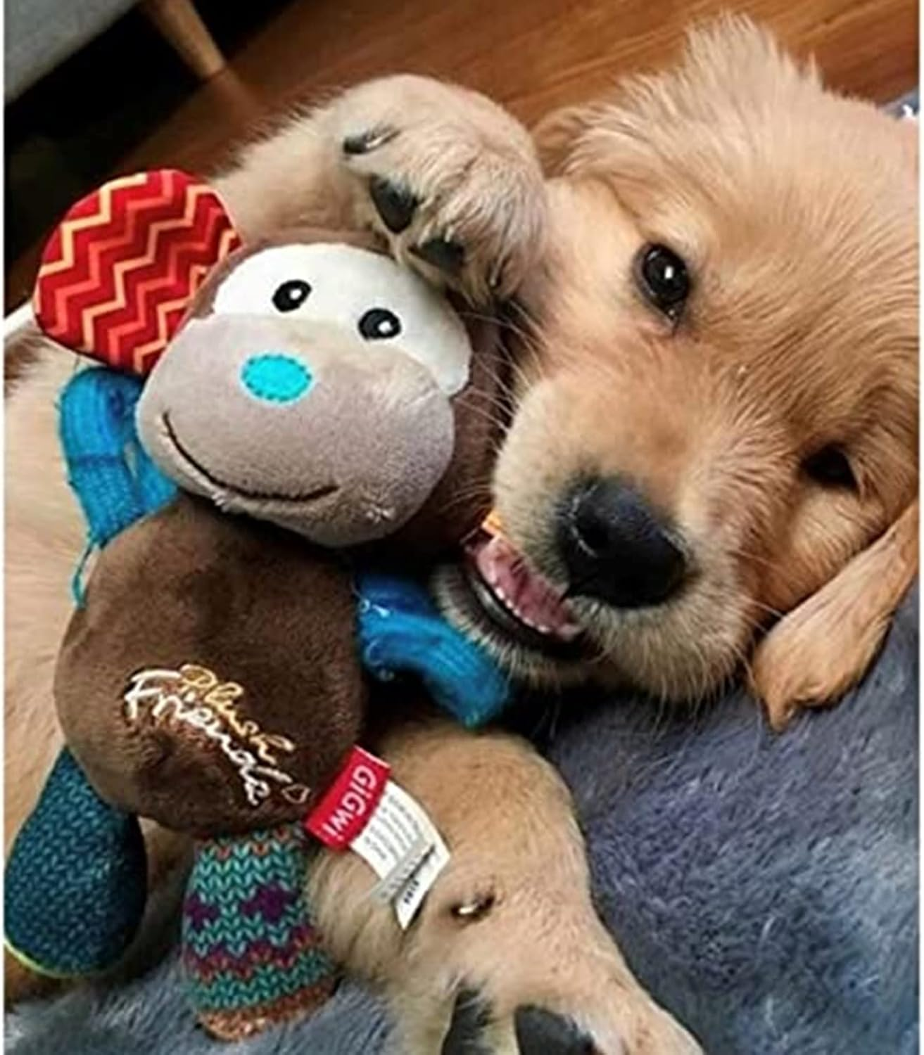 Gigwi Squeaker Monkey Dog Toy, Multicolour image number 6