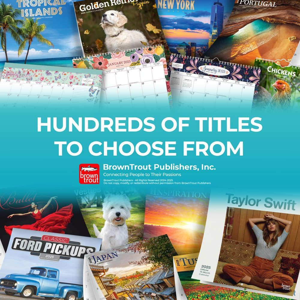 Banksy'S Graffiti OFFICIAL | 2025 7 X 14 Inch Monthly Mini Wall Calendar | Plastic-Free | Browntrout | Drawings Street Art Design