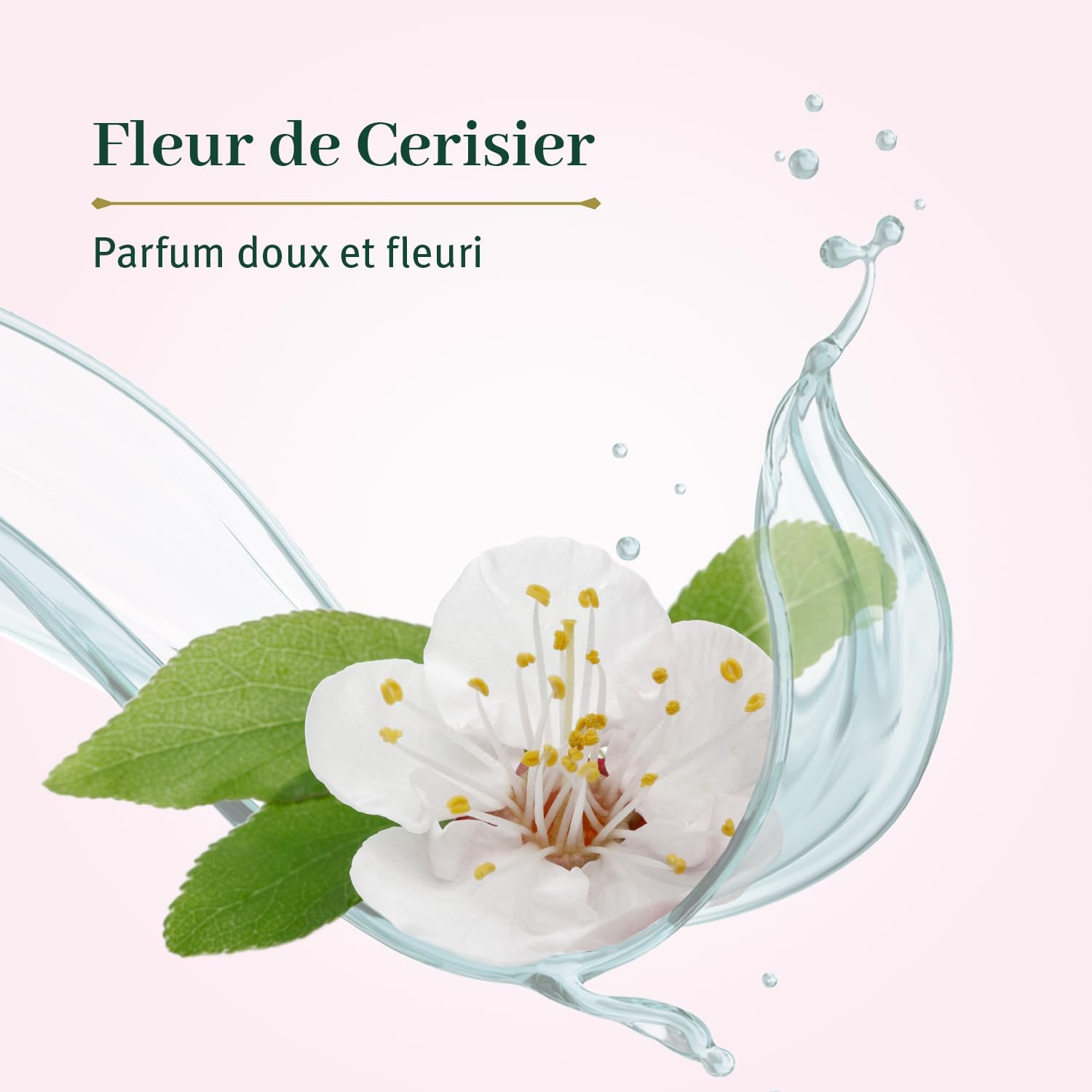 Extra Mild Soap Bars - Cherry Blossom by Le Petit Olivier for Men - 2 X 3.5 Oz Soap image number 2