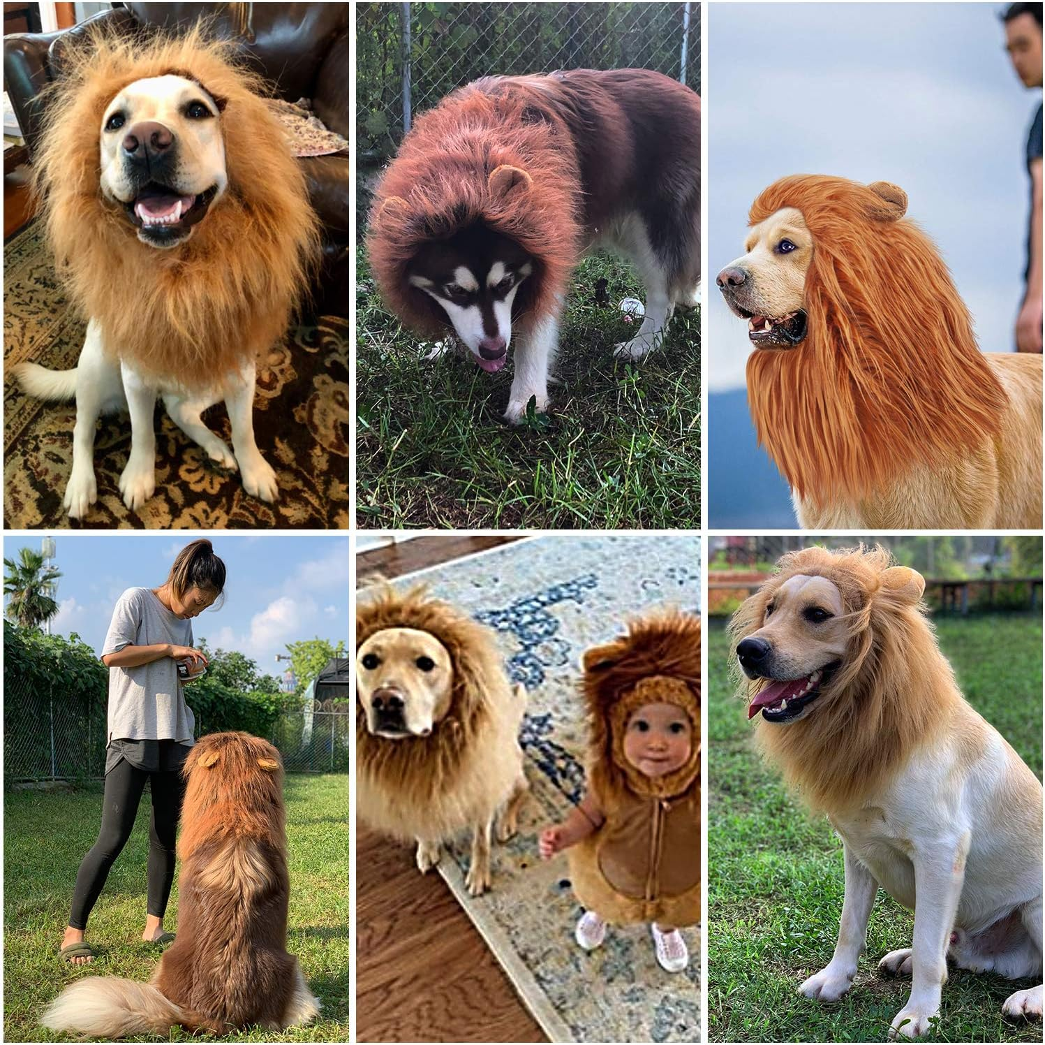GALOPAR Lion Mane for Dogs Realistic Lion Wig Dog Lion Costume, Halloween Christmas Funny Dog Costumes Photo Shoots Entertainment, Suitable for Medium and Large Sized Dogs