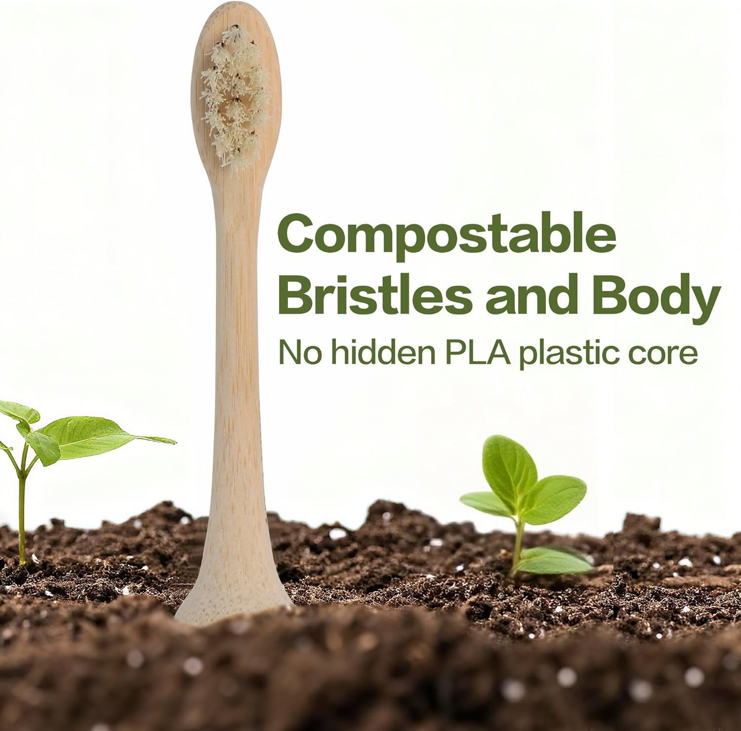 Gaia Guy Bamboo & Boar Bristle Electric Toothbrush Replacement Heads (4-Pack) - Uncoated Bamboo image number 1