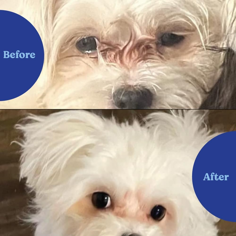 Angels&rsquo; Eyes Natural Tear Stain Prevention Soft Chews for Dogs | 120 Ct Chicken Flavor| for All Breeds | No Wheat No Corn | Daily Supplement | Proprietary Formula image number 1