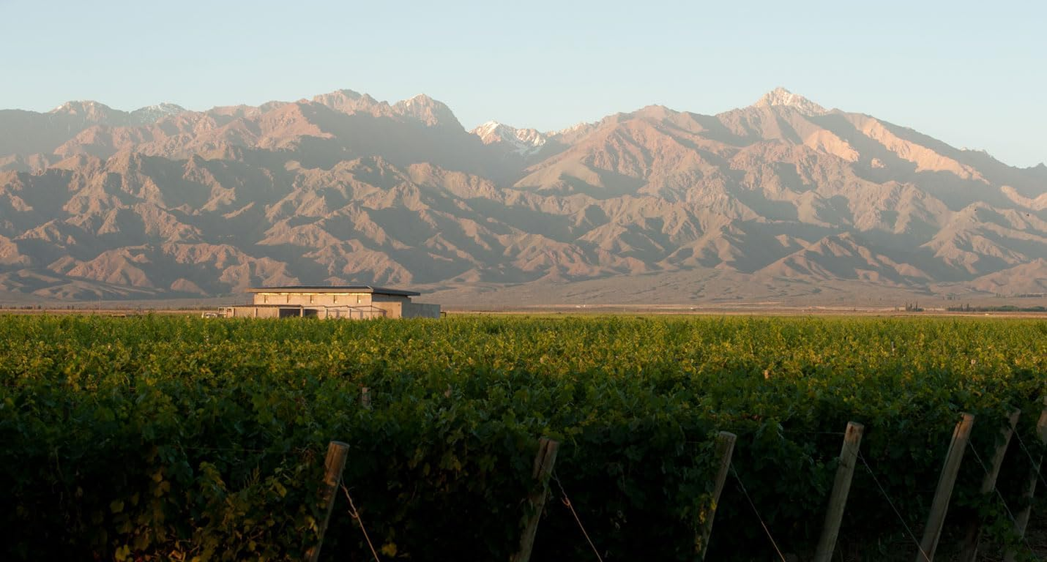 2013 Aluvi&oacute;n Vineyards Malbec Wine "The Emmeline" from the Uco Valley, Mendoza, Argentina image number 4