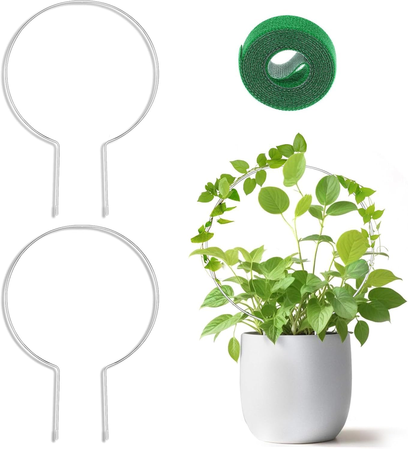 2PCS Small Trellis for Potted Plants, Circle Trellis with Plant Tape, Plant Climber Support for Climbing Plants Indoor Outdoor, Plant Trellis for Vines Flower Topiary Frames (Silvery) image number 5