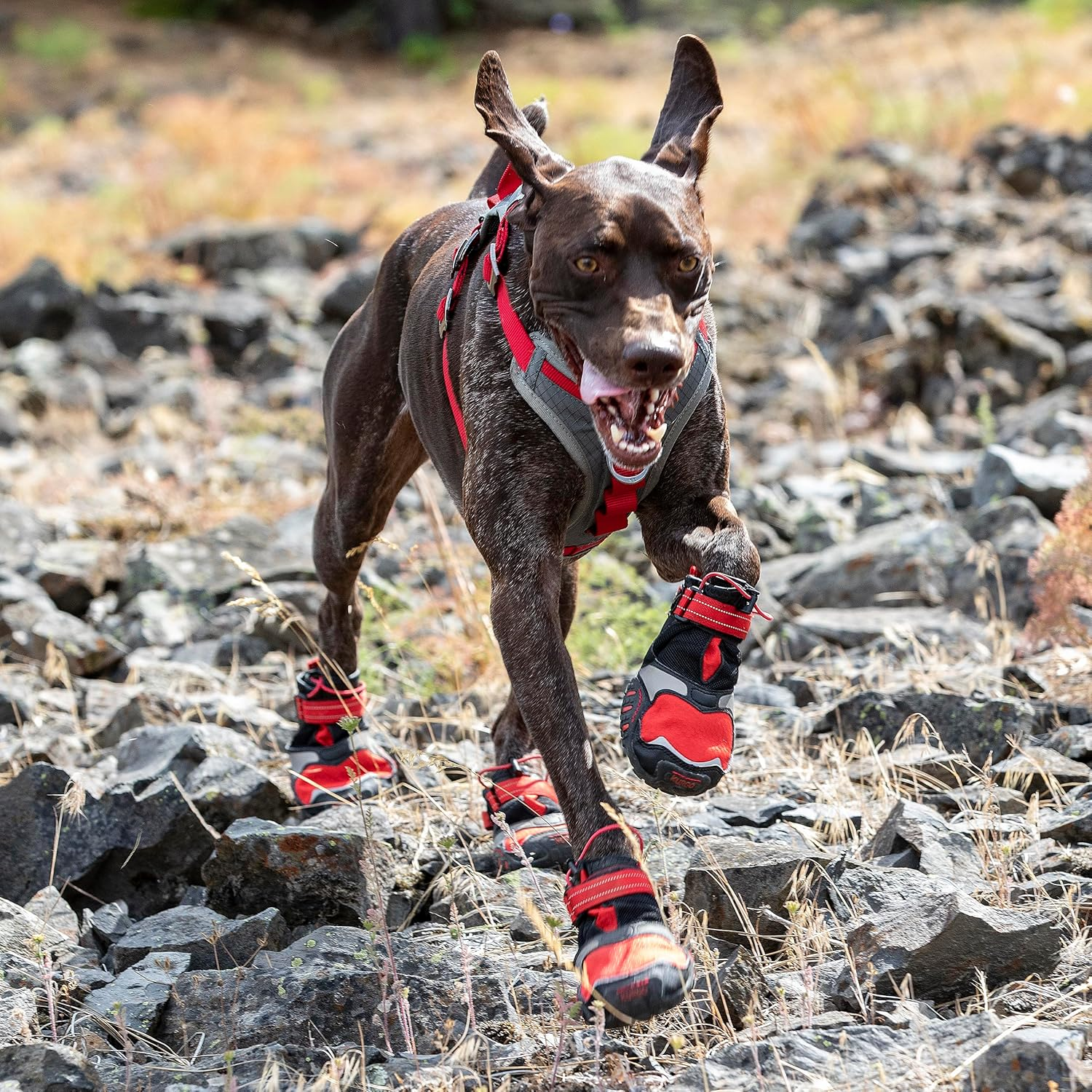 Kurgo Blaze Cross Dog Shoes - All Season Paw Protection - Waterproof, Reflective, Non-Slip - Includes 2 Shoes - Grey - S image number 6